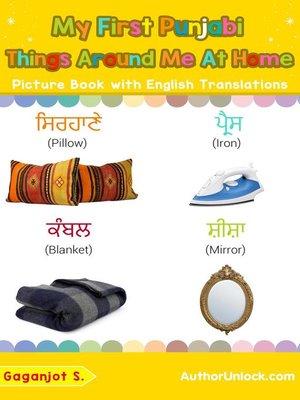 cover image of My First Punjabi Things Around Me at Home Picture Book with English Translations